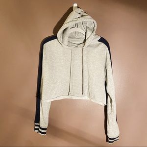 Pacsun Cropped Hoodie